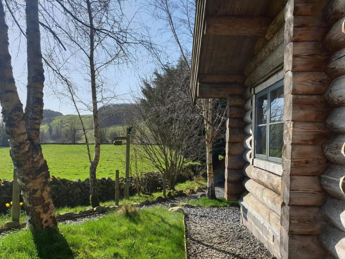 Newland Valley Log Cabins Ulverston Exterior photo
